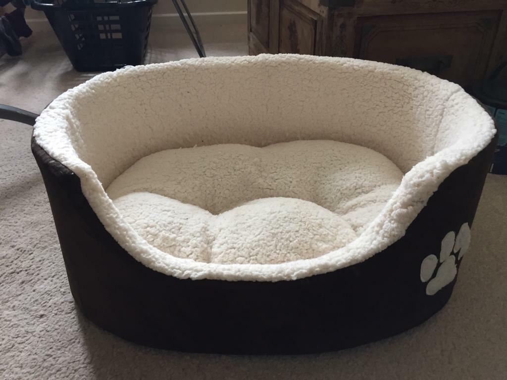 teddy oval dog bed